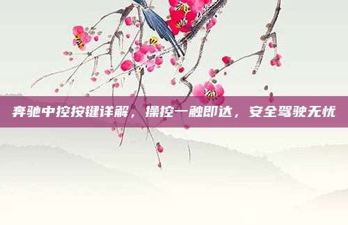 奔驰中控按键详解，操控一触即达，安全驾驶无忧