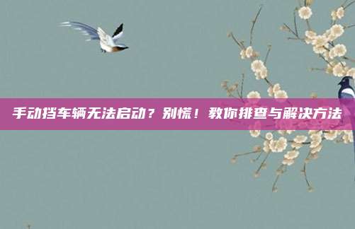 手动挡车辆无法启动？别慌！教你排查与解决方法