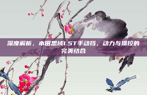 深度解析，本田思域1.5T手动挡，动力与操控的完美结合