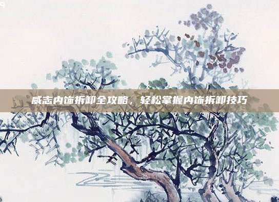 威志内饰拆卸全攻略，轻松掌握内饰拆卸技巧