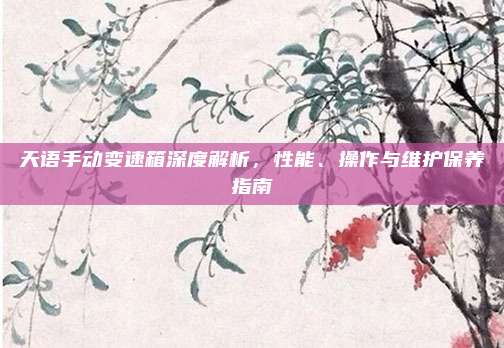 天语手动变速箱深度解析，性能、操作与维护保养指南