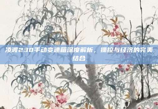 凌渡230手动变速箱深度解析，操控与经济的完美结合