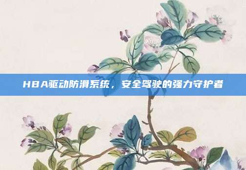 HBA驱动防滑系统，安全驾驶的强力守护者