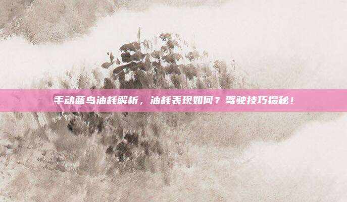 手动蓝鸟油耗解析，油耗表现如何？驾驶技巧揭秘！
