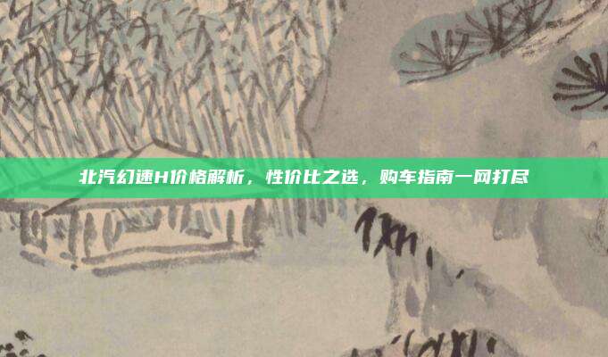 北汽幻速H价格解析，性价比之选，购车指南一网打尽