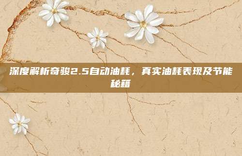 深度解析奇骏2.5自动油耗，真实油耗表现及节能秘籍