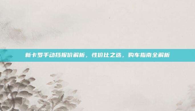 新卡罗手动挡报价解析，性价比之选，购车指南全解析