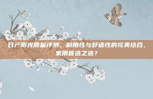 日产阳光质量评测，耐用性与舒适性的完美结合，家用首选之选？