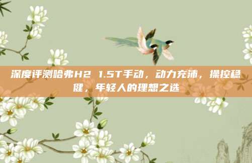 深度评测哈弗H2 1.5T手动，动力充沛，操控稳健，年轻人的理想之选