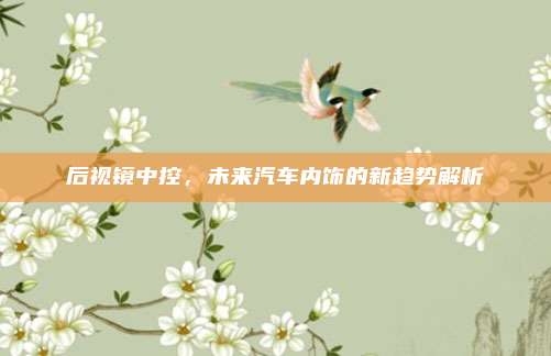 后视镜中控，未来汽车内饰的新趋势解析