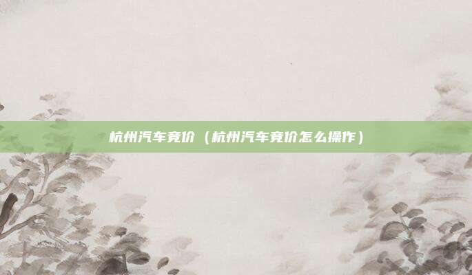 杭州汽车竞价(杭州汽车竞价怎么操作)