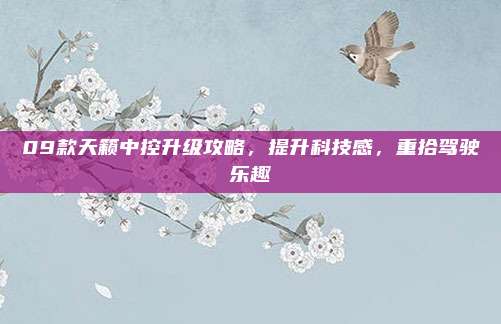 09款天籁中控升级攻略，提升科技感，重拾驾驶乐趣