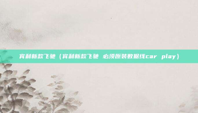 宾利新款飞驰(宾利新款飞驰 必须原装数据线car play)