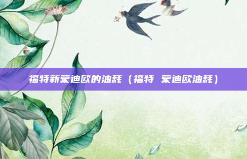 福特新蒙迪欧的油耗(福特 蒙迪欧油耗)