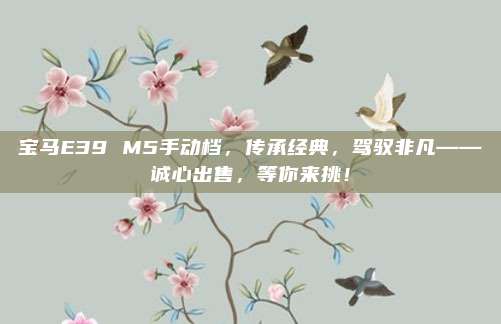 宝马E39 M5手动档，传承经典，驾驭非凡——诚心出售，等你来挑！