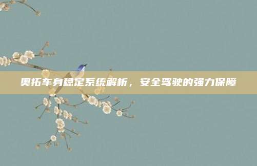 奥拓车身稳定系统解析，安全驾驶的强力保障