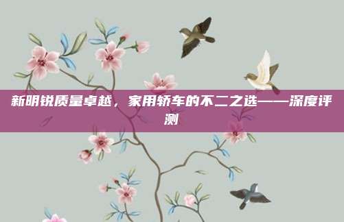 新明锐质量卓越，家用轿车的不二之选——深度评测