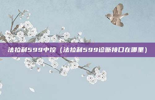 法拉利599中控(法拉利599诊断接口在哪里)