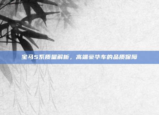 宝马5系质量解析，高端豪华车的品质保障