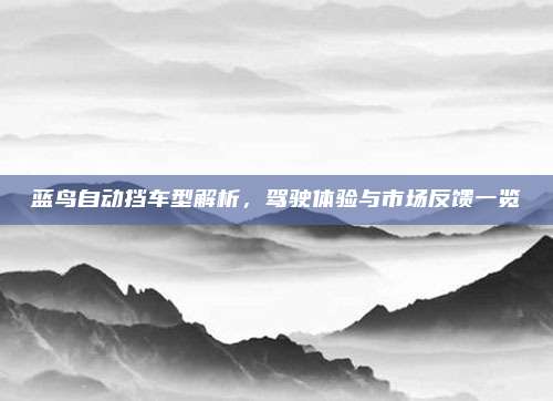 蓝鸟自动挡车型解析，驾驶体验与市场反馈一览