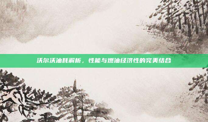 沃尔沃油耗解析，性能与燃油经济性的完美结合