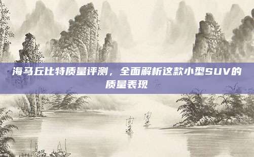 海马丘比特质量评测，全面解析这款小型SUV的质量表现