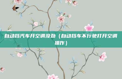 自动挡汽车开空调没劲（自动挡车不行驶打开空调操作）