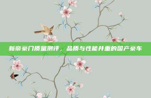 新帝豪门质量测评，品质与性能并重的国产豪车