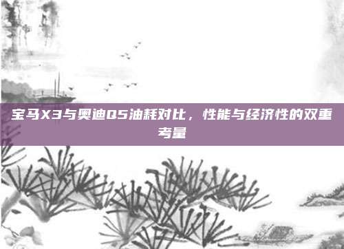 宝马X3与奥迪Q5油耗对比，性能与经济性的双重考量
