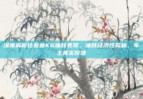 深度解析比亚迪K6油耗表现，油耗经济性揭秘，车主真实反馈