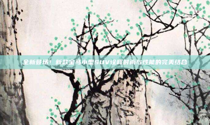 全新登场！新款宝马小型SUV诠释时尚与性能的完美结合