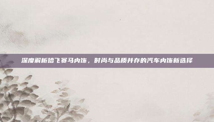 深度解析哈飞赛马内饰，时尚与品质并存的汽车内饰新选择