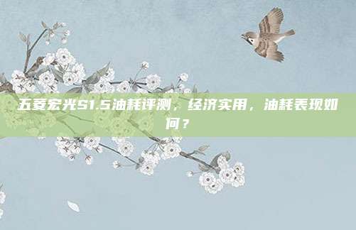 五菱宏光S1.5油耗评测，经济实用，油耗表现如何？