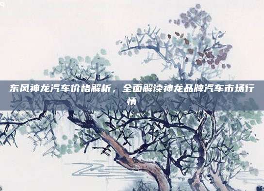东风神龙汽车价格解析，全面解读神龙品牌汽车市场行情