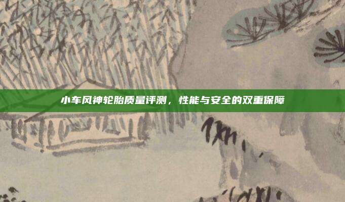 小车风神轮胎质量评测，性能与安全的双重保障