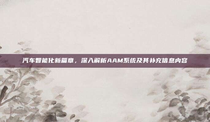 汽车智能化新篇章，深入解析AAM系统及其补充信息内容