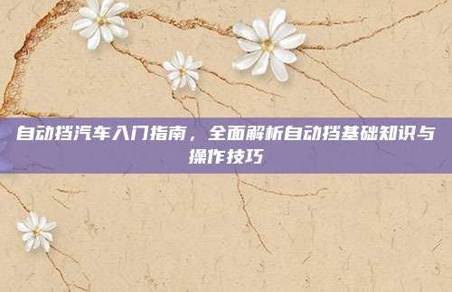 自动挡汽车入门指南，全面解析自动挡基础知识与操作技巧