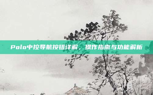 Polo中控导航按钮详解，操作指南与功能解析