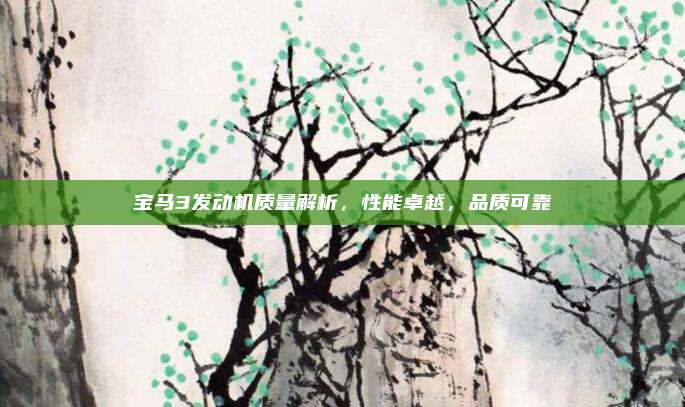 宝马3发动机质量解析，性能卓越，品质可靠