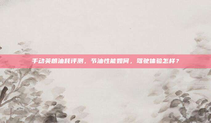 手动英朗油耗评测，节油性能如何，驾驶体验怎样？