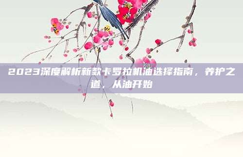 2023深度解析新款卡罗拉机油选择指南，养护之道，从油开始