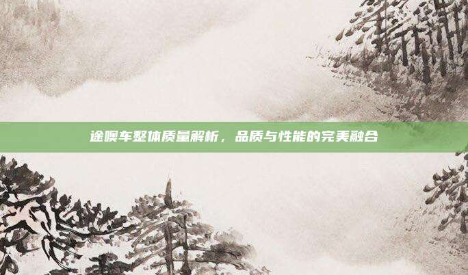 途噢车整体质量解析，品质与性能的完美融合