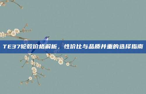 TE37轮毂价格解析，性价比与品质并重的选择指南