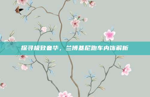 探寻极致奢华，兰博基尼跑车内饰解析