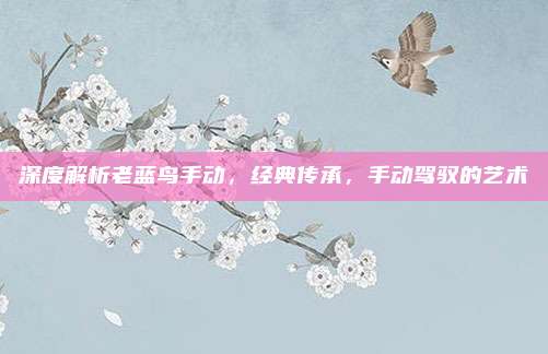 深度解析老蓝鸟手动，经典传承，手动驾驭的艺术