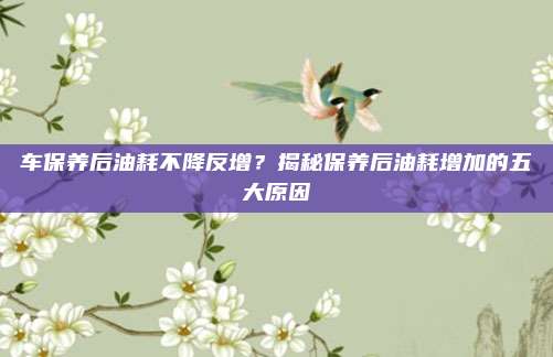 车保养后油耗不降反增？揭秘保养后油耗增加的五大原因