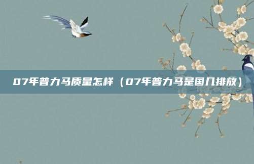 07年普力马质量怎样(07年普力马是国几排放)