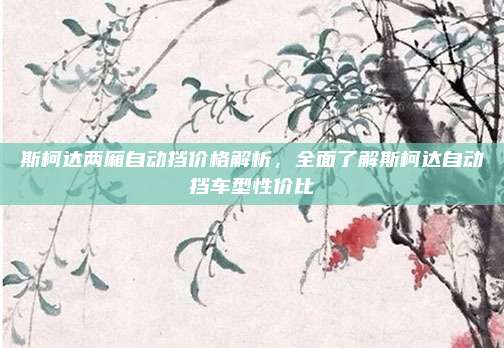 斯柯达两厢自动挡价格解析，全面了解斯柯达自动挡车型性价比