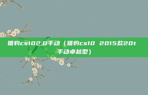 猎豹cs102.0手动（猎豹cs10 2015款20t 手动卓越型）