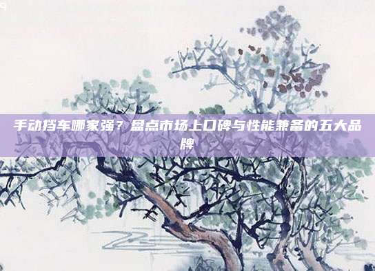 手动挡车哪家强？盘点市场上口碑与性能兼备的五大品牌